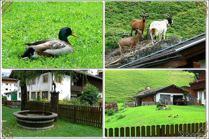 Lermoos , Tyrol Autrichien Lermoos-tyrol31aout09_10