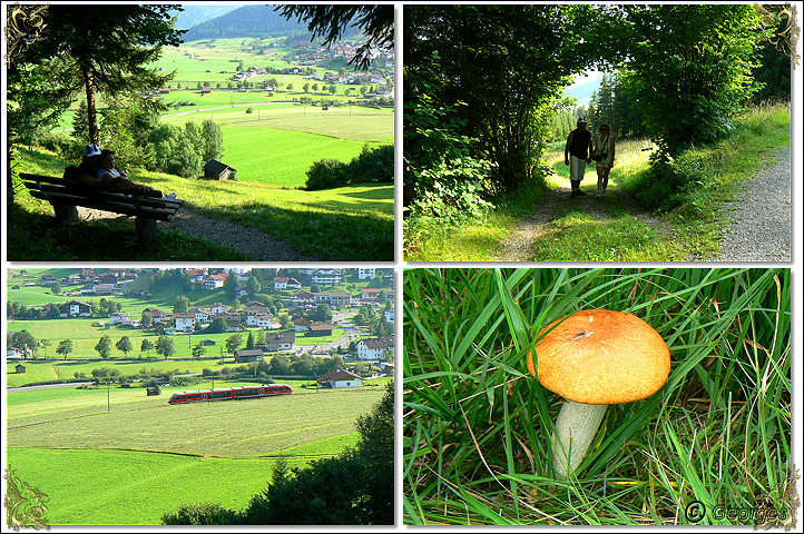 Lermoos , Tyrol Autrichien Lermoos-tyrol31aout09_12